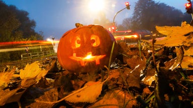 National Park Service puts a spooky twist on Halloween with pumpkin carving challenge