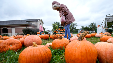 Millions face dramatic temperature drop as powerful cold front sweeps across the US