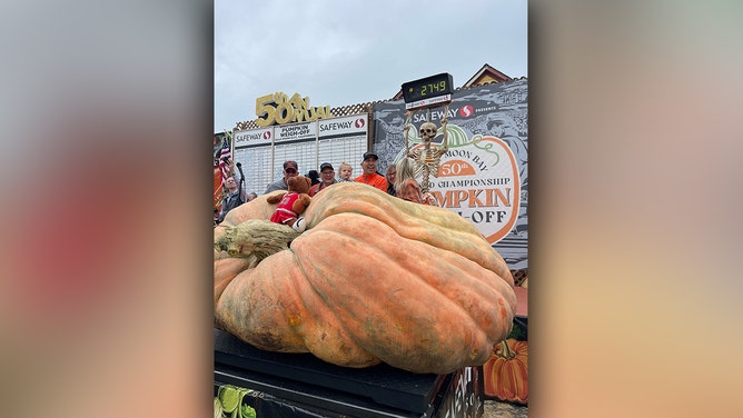 Travis Grienger set a potential world record for the heaviest pumpkin ever at the Safeway World Championship Pumpkin Weigh-Off in Half Moon Bay, California, on Monday, Oct. 9, 2023.