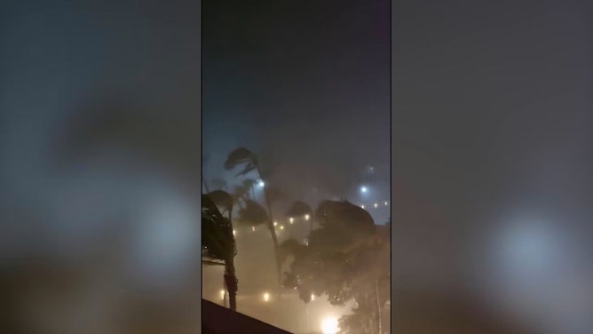 Footage recorded by X user David Hall shows palm trees swaying in strong wind and driving rain.