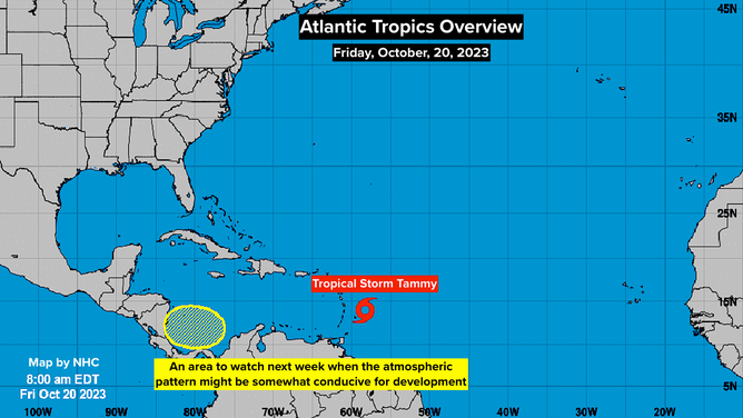 Tropical Storm Tammy is gaining some organization, which is a key step toward a storm intensifying.