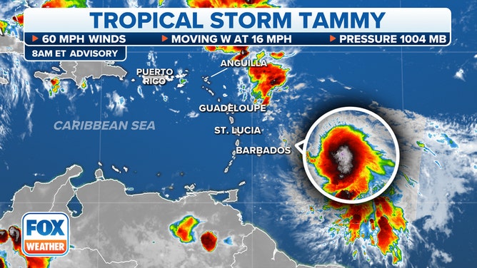 Tropical Storm Tammy is expected to gradually strengthen as it approaches the Leeward Islands and tropical storm conditions are expected to arrive in the region starting Friday.