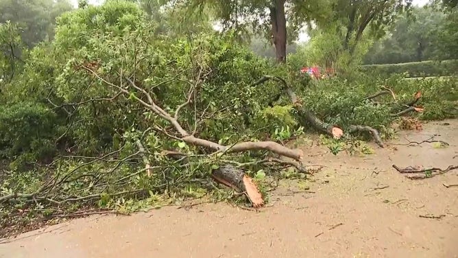 Trees are seen damaged in San Antonio, Texas after an apparent tornado Oct. 26, 2023.