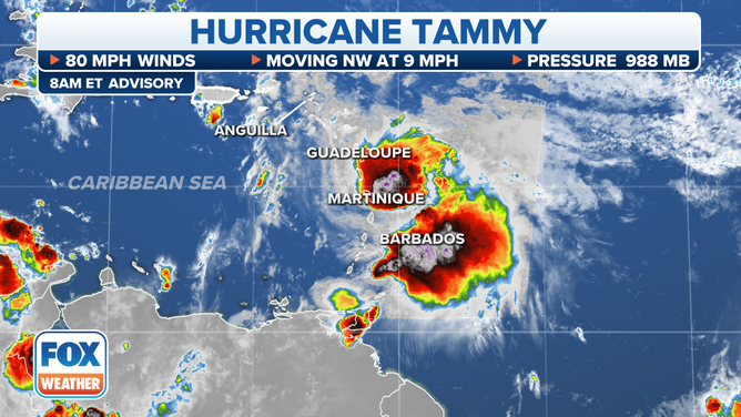 Hurricane Tammy stats