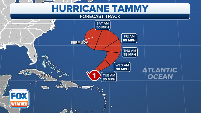The forecast track for Hurricane Tammy.