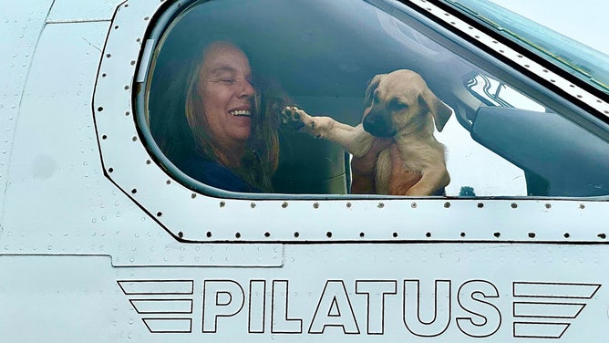 How This Group Of Pilots Is Helping Rescue Pets Displaced By Disasters ...