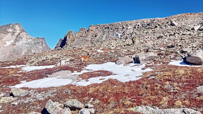 A broad-scale search for a missing Colorado trail runner in Rocky Mountain National Park has been suspended after nearly two weeks without communication.