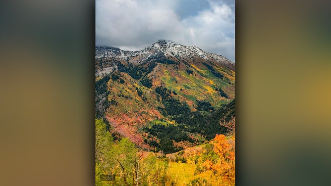A fresh round of snow blankets the amber-colored fall foliage in Utah's first October scene on Monday.