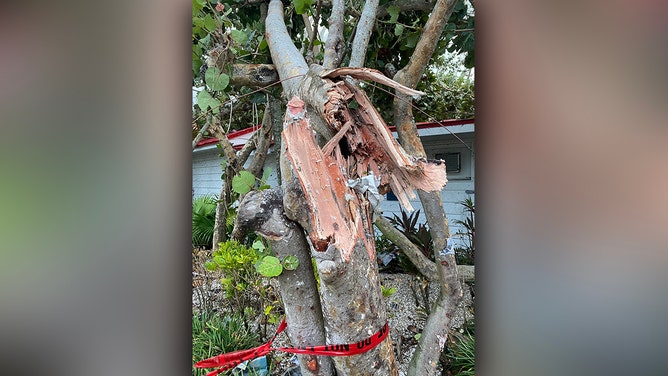 A look at the damage from the tornado overnight as daylight arrives on Clearwater Beach, Florida, on Thursday.
