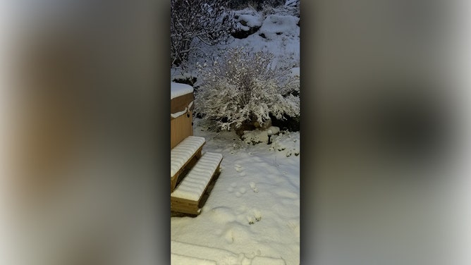 Snow began to accumulate Saturday morning in Alma, Colorado.