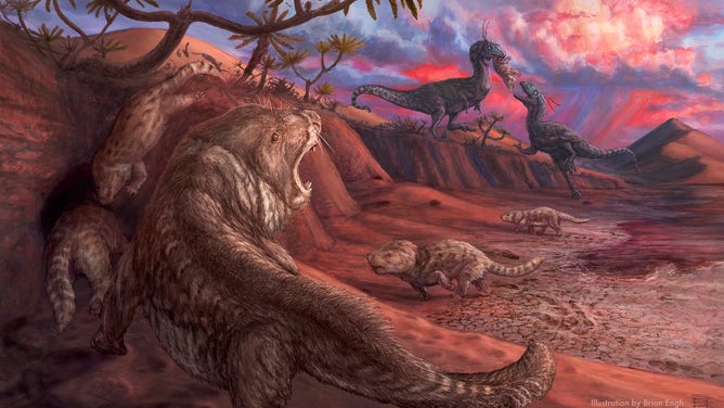 A painting depicting an Early Jurassic scene from the Navajo Sandstone desert preserved at Glen Canyon NRA. A small team of paleontologists worked with artist Brian Engh to provide a technically accurate depiction of the rare and enigmatic tritylodonts (close mammal relatives) discovered in March during low water levels of Lake Powell.