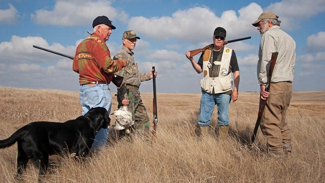 FILE -- Experienced hunters and close friends Joe Moores, Timmy Stein, Byron Grubb and John Davidson out on the North Dakota prairie grasslands shooting upland game birds near Minot, North Dakota.