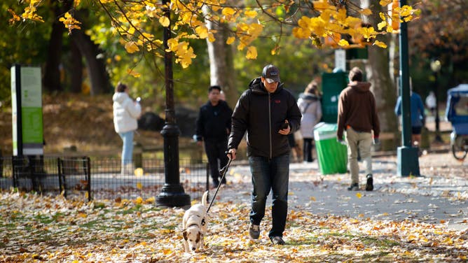 Autumn Activities In New York City