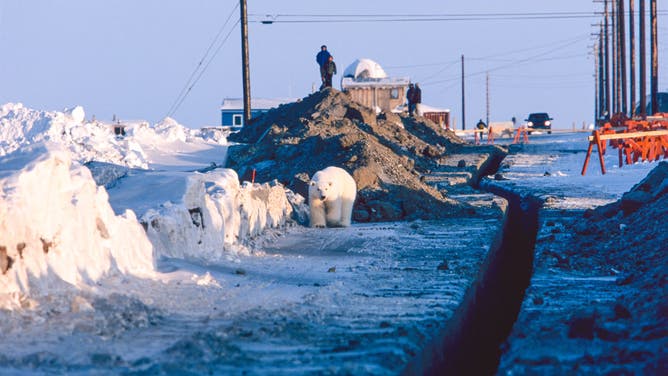 Alaska issues nation's first Blizzard Warning of season as winter gets jump  start