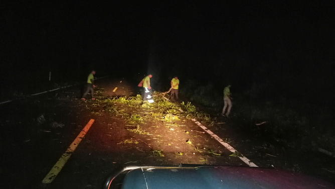 Pieces of a tree that fell in the middle of a road in Mexico during Hurricane Lidia are removed.