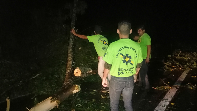 Workers move a tree that fell in the middle of a road during Hurricane Lidia in Mexico.