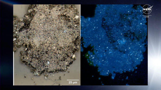 Grain particle from Bennu. On the left, the particle is illuminated under visible light. On the right, the particle is illuminated under UV light. The glowing dots are the organic globules.