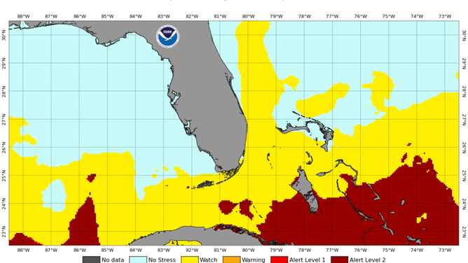 Florida coral bleaching alert area.