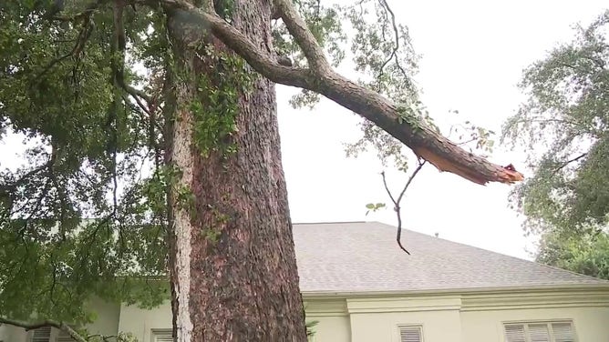 Trees are seen damaged in San Antonio, Texas after an apparent tornado Oct. 26, 2023.