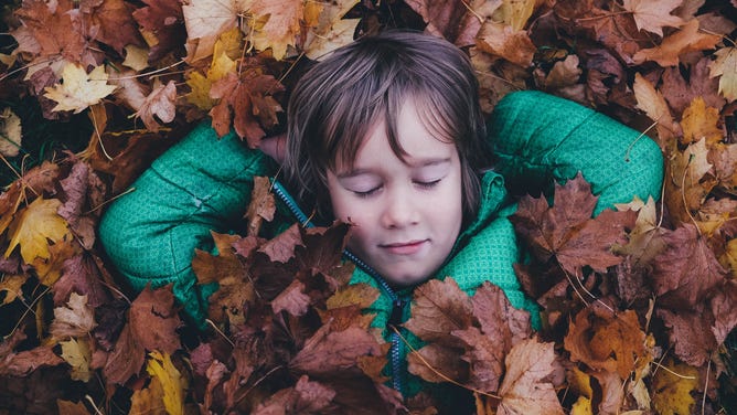 Boy lays in pile of fall leaves.