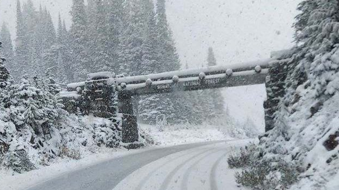 Snow in Washington's Chinook Pass