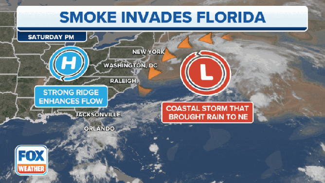 Florida Smoke