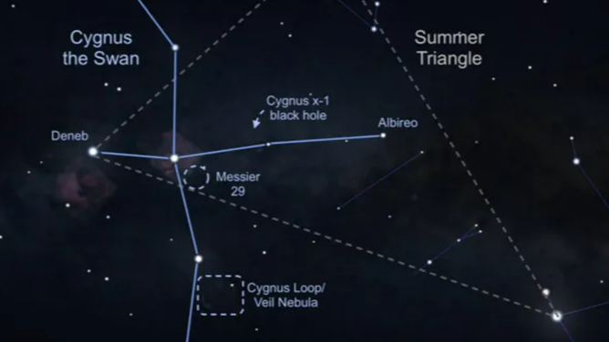 Illustration of the constellation Cygnus