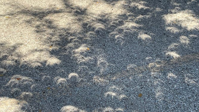 Impacts from the eclipse in Texas