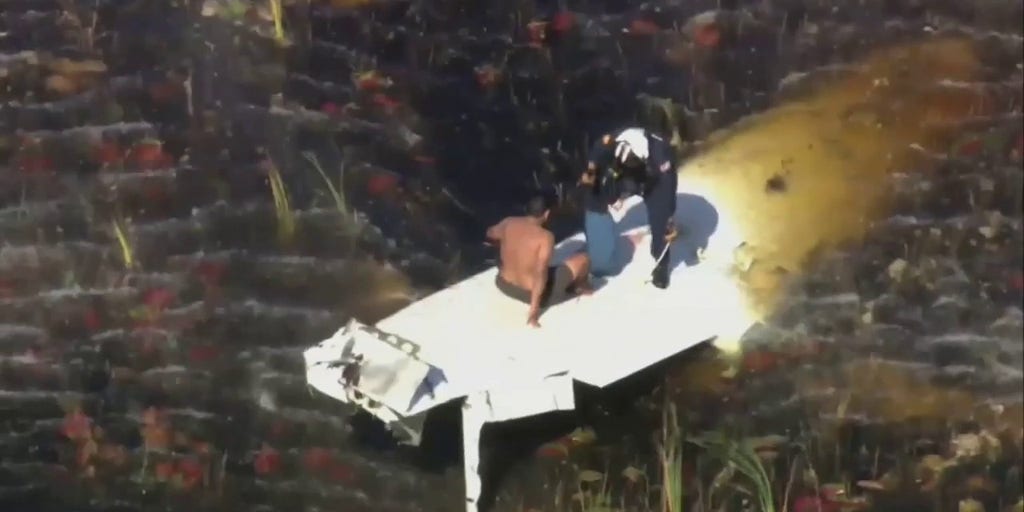 Dramatic videos show rescue of pilot who crashed in alligatorinfested