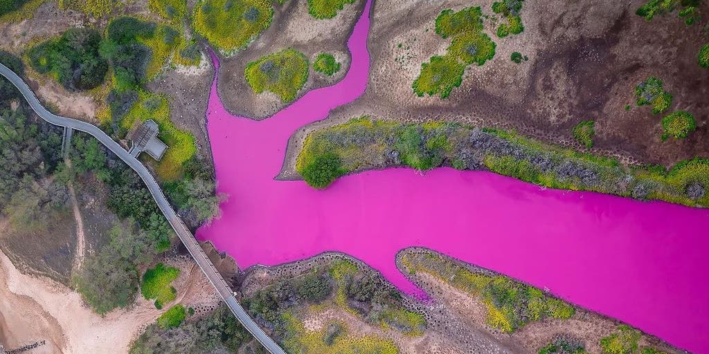 See it: Pond in Hawaii turns 'Pepto Bismol' pink and drought could