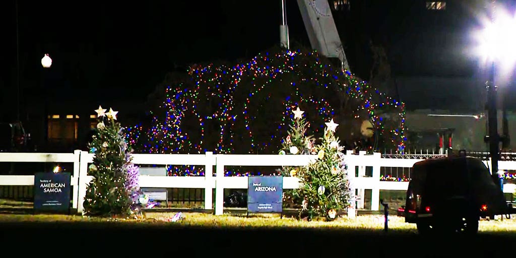 National Christmas Tree at White House toppled by gusty winds in Washington