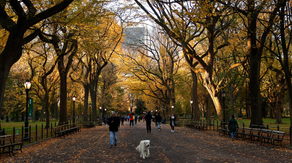 7 ways to be prepared ahead of fall severe weather