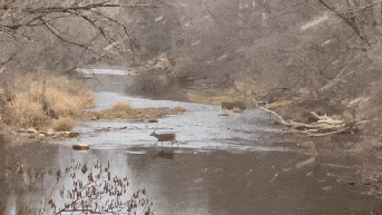 Cleveland, Syracuse included in Lake-Effect Snow Warning as snowstorm approaches