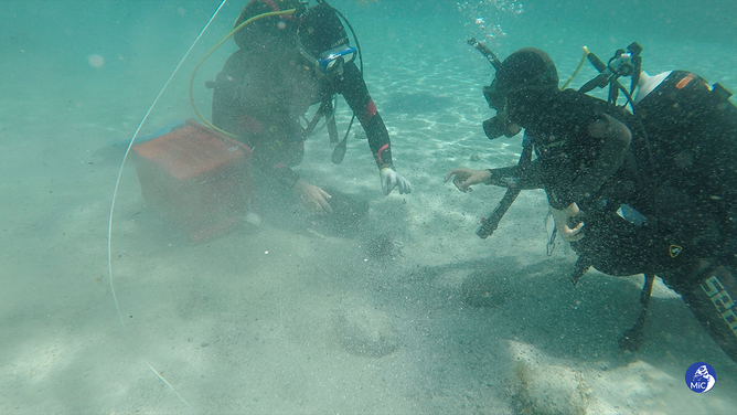 As many as 50,000 bronze coins dating back to the 4th century AD have been discovered by a diver off the coast of Sardinia, the Italian ministry of culture said.