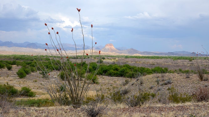 Desert Vista from Dorgan House in Big Bend National Park in Texas.