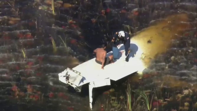 A photo showing the pilot of a plane that crashed in the Florida Everglades awaiting rescue.