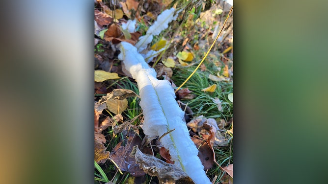 The Missouri Department of Conservation said the first frost flowers of the season were taken Tuesday morning at Chesapeake Fish Hatchery near Mt. Vernon, Missouri.