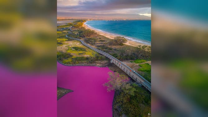 Pink water at the Keālia Pond National Wildlife Refuge in Hawaii.
