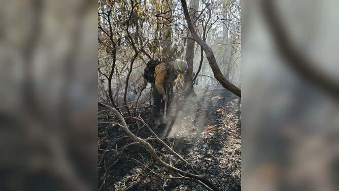 Firefighters continue to address the Poplar Drive Fire. Nov. 10, 2023.