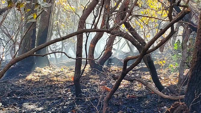 Firefighters continue to address the Poplar Drive Fire. Nov. 10, 2023.