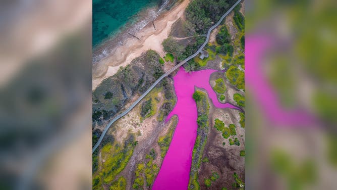 See the New Pink Water in Hawaii That Changed Color Over One Weekend -  Atlas Obscura
