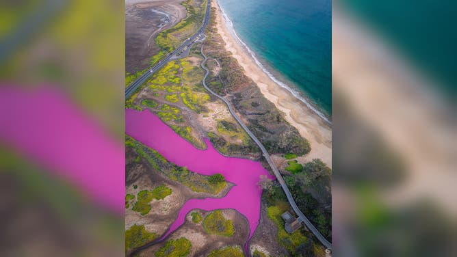 Pink water at the Keālia Pond National Wildlife Refuge in Hawaii.