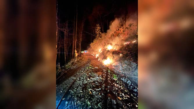 Forest Service firefighters working to contain the Collett Ridge Fire. (Image: U.S. Forest Service-North Carolina)