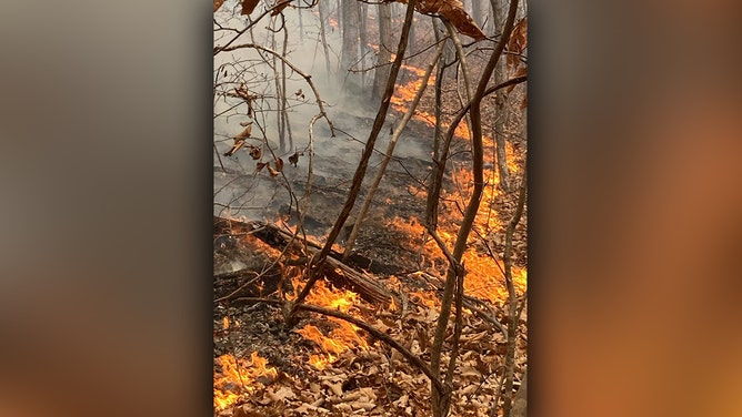 The Matts Creek Fire is 4 miles southeast of Glasgow, Virginia and 5 miles northwest of Big Island, Virginia. The fire is located south of US-501 and the James River within the James River Face Wilderness on the Jefferson National Forest.