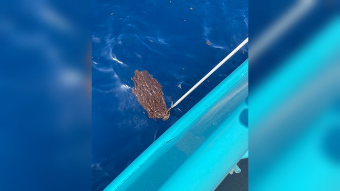 Oil spill off Louisiana Coast