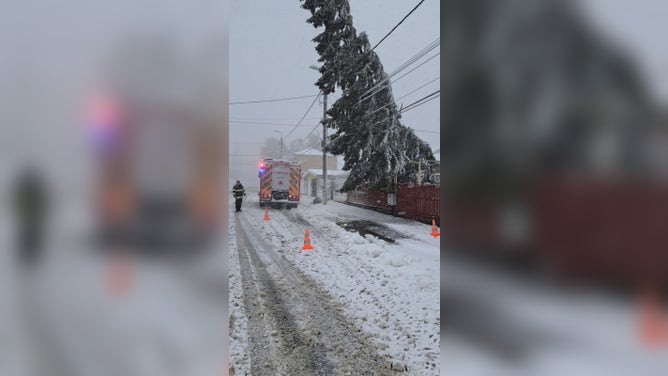 Blizzard conditions in Romania on Sunday, Nov. 26, 2023.