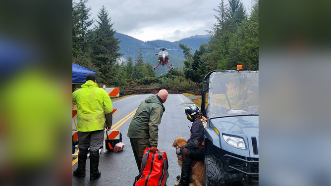 A helicopter arrives near mile 11 of the Zimovia Highway where ground teams, including search and rescue dogs, are actively working to search areas that state geologists have determined safe for entry Nov. 22 in Wrangell, Alaska, following a massive landslide Nov. 20, 2023. Multiple agencies, including the Alaska State Troopers, U.S. Coast Guard and Forest Service, and Wrangell’s Police Department, Fire Department, and SAR, along with volunteer groups such as Juneau Sea Dogs and Petersburg SAR have been actively involved. (Photo by Willis Walunga, Division of Homeland Security and Emergency Management)