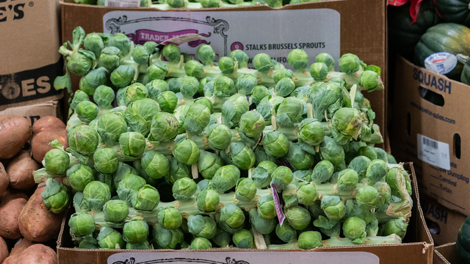 FILE - Brussels sprouts for sale at the Trader Joe's Upper East Side Bridgemarket grocery store in New York, U.S., on Thursday, Dec. 2, 2021. The century-old vaulted market under the Queensboro Bridge has reopened on Thursday as a Trader Joe's. Photographer: Jeenah Moon/Bloomberg via Getty Images