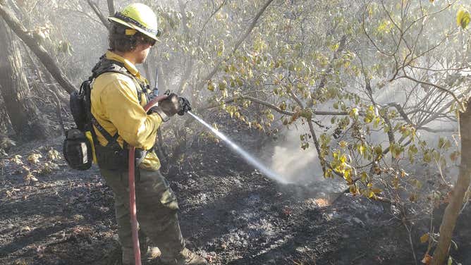 A wildland firefighter hoses down a hot spot on the lines of the Poplar Fire in Henderson County, North Carolina.