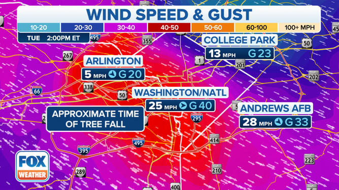 A wind gust of 40 mph was recorded at Reagan National Airport just before 2 p.m. EST on Tuesday, Nov. 28, 2023.